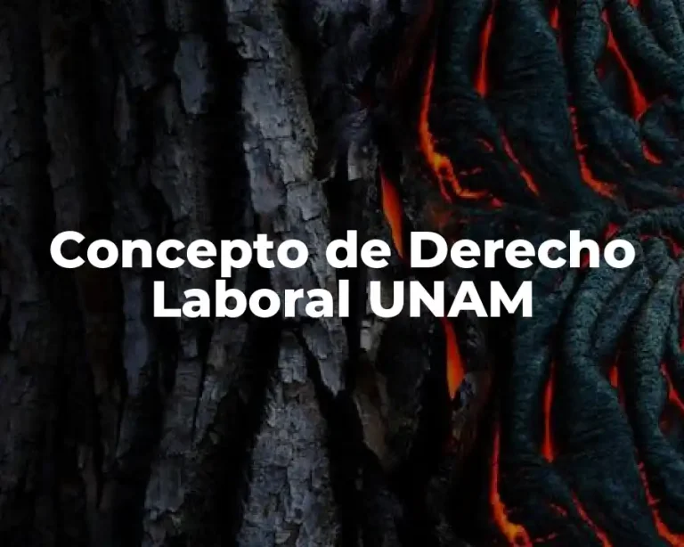 Concepto de Derecho Laboral UNAM