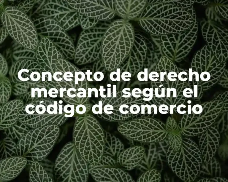 Concepto de derecho mercantil según el código de comercio