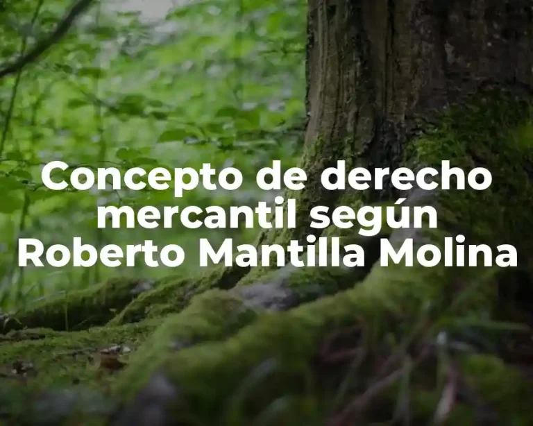 Concepto de derecho mercantil según Roberto Mantilla Molina