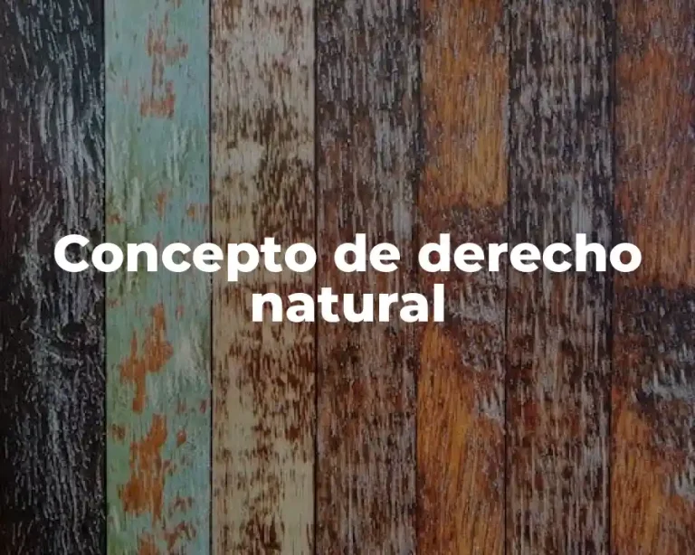 Concepto de derecho natural