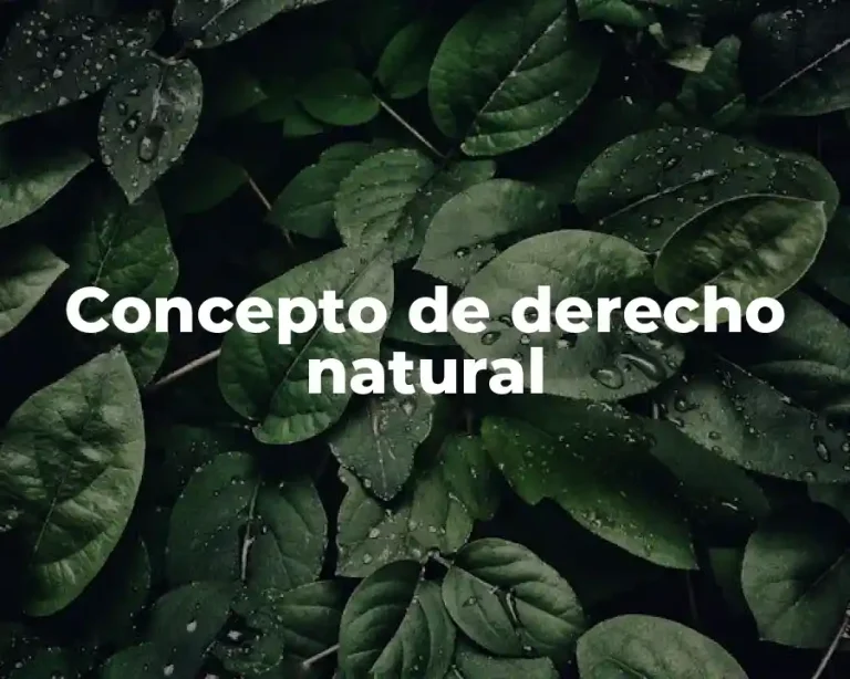 Concepto de derecho natural