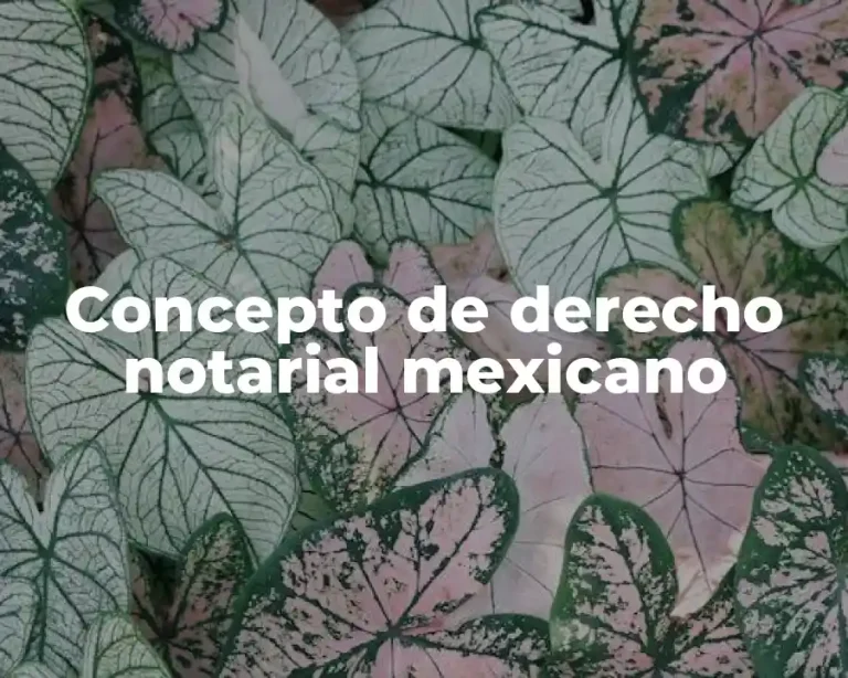 Concepto de derecho notarial mexicano