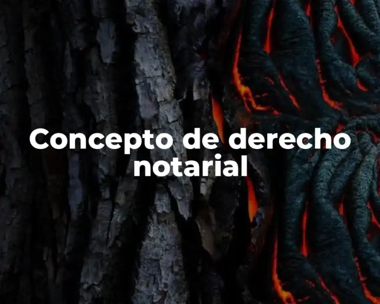 Concepto de derecho notarial