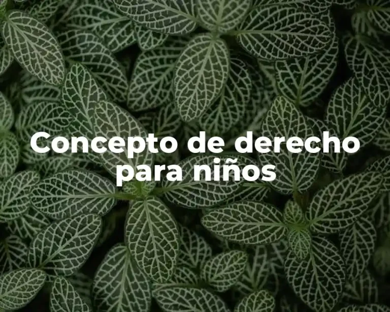 Concepto de derecho para niños