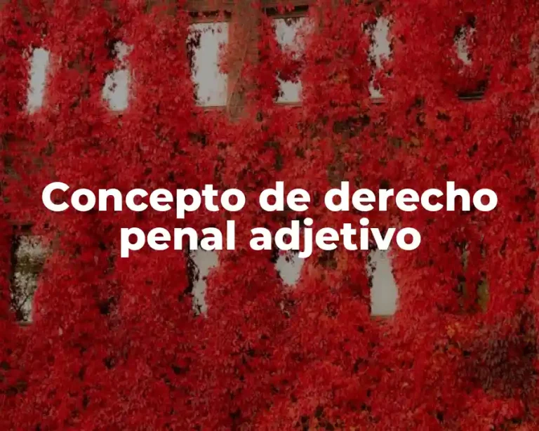 Concepto de derecho penal adjetivo