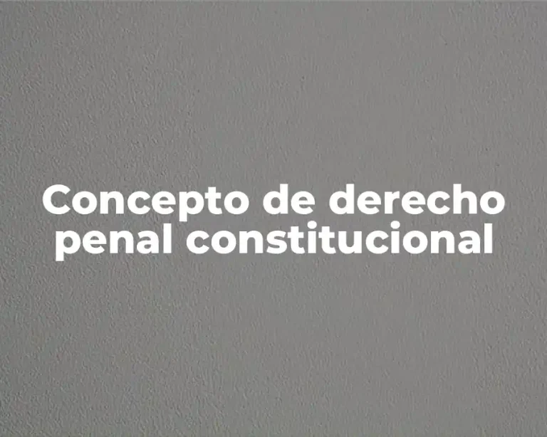 Concepto de derecho penal constitucional