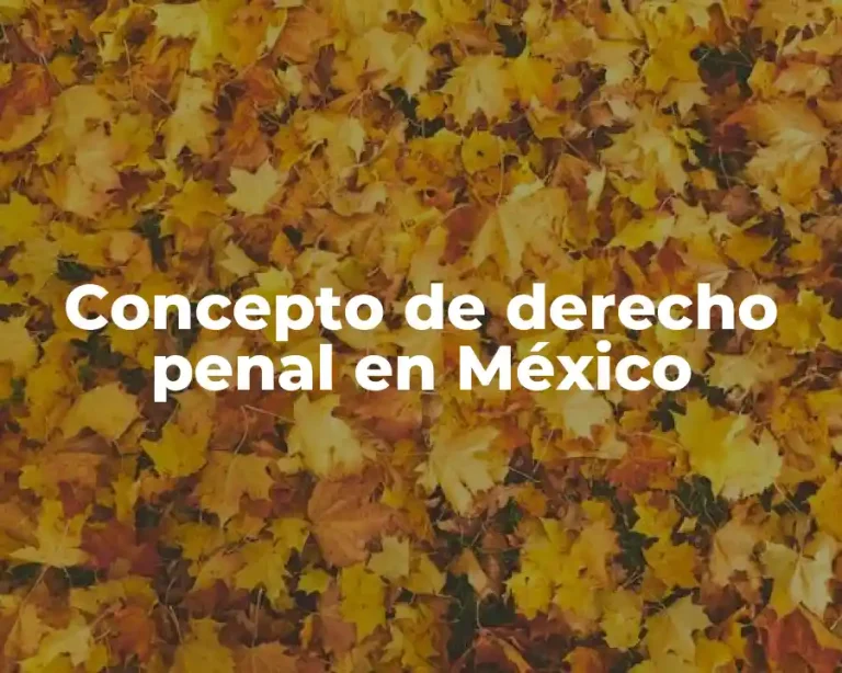Concepto de derecho penal en México