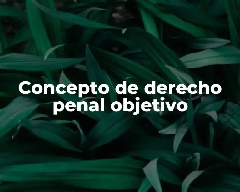 Concepto de derecho penal objetivo