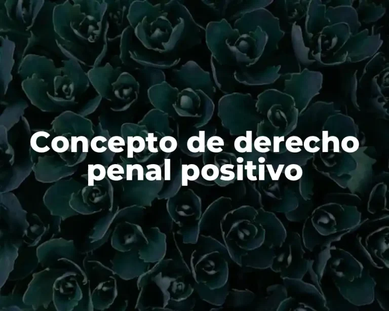 Concepto de derecho penal positivo