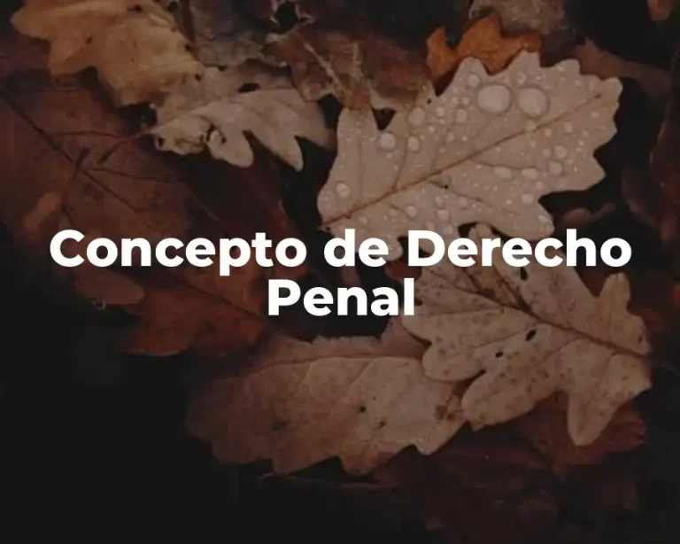 Concepto de Derecho Penal