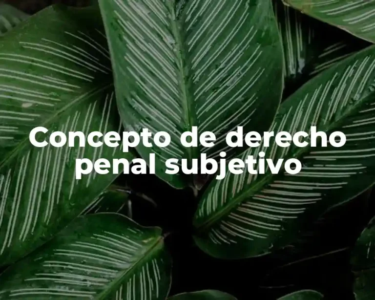 Concepto de derecho penal subjetivo