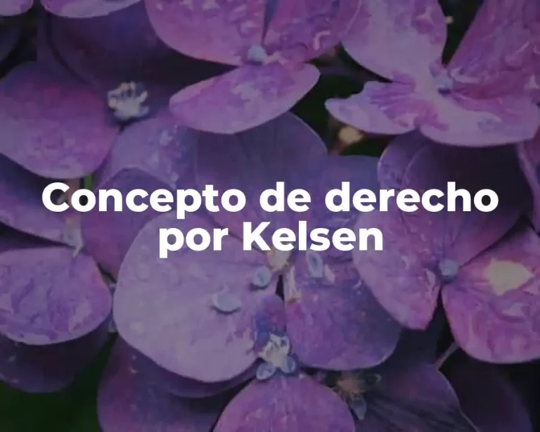 Concepto de derecho por Kelsen