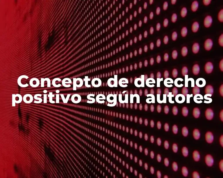 Concepto de derecho positivo según autores