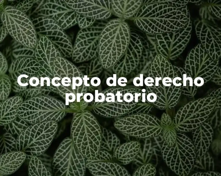 Concepto de derecho probatorio