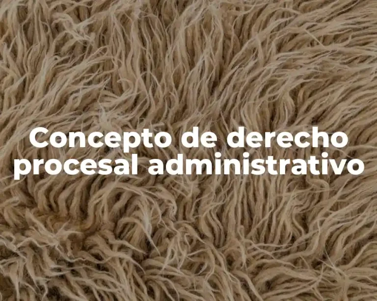 Concepto de derecho procesal administrativo
