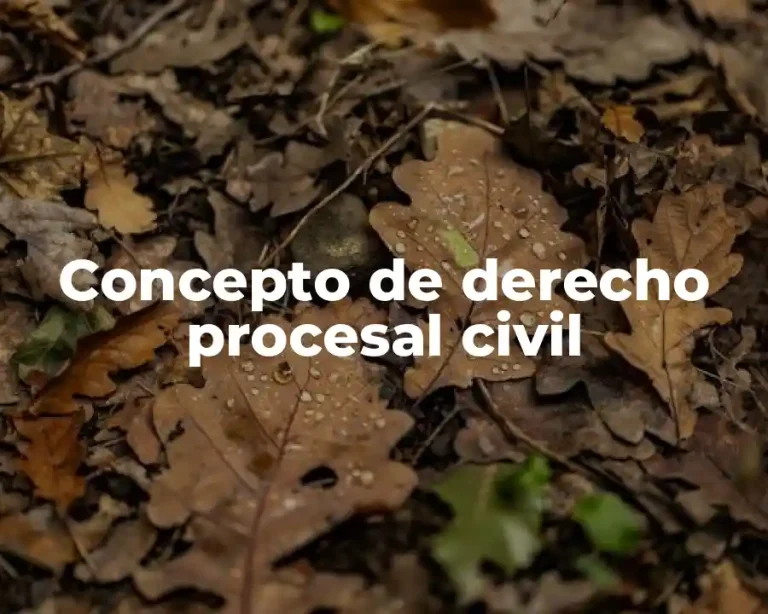 Concepto de derecho procesal civil