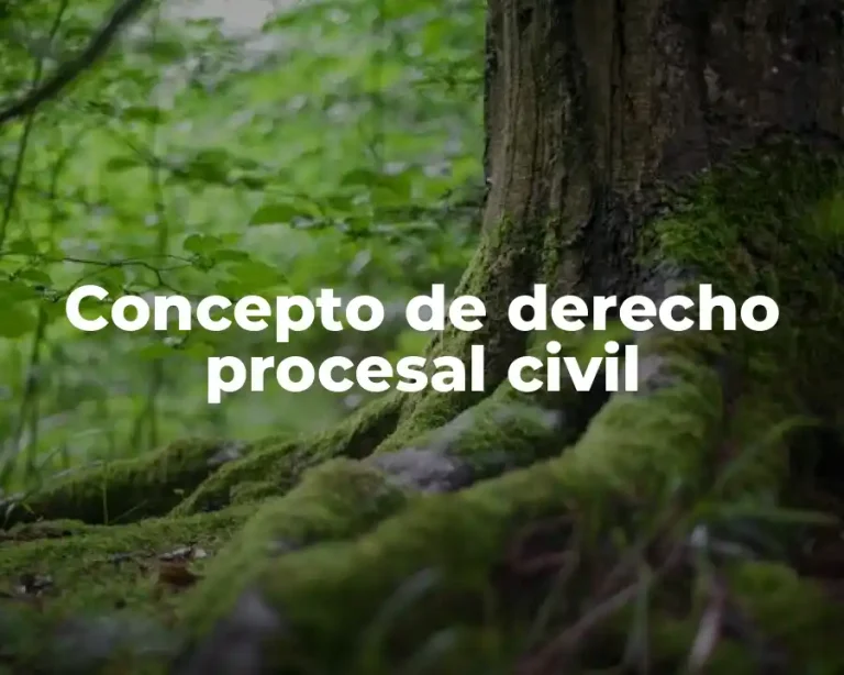 Concepto de derecho procesal civil