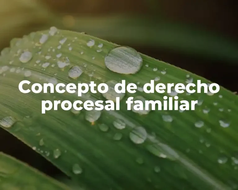 Concepto de derecho procesal familiar