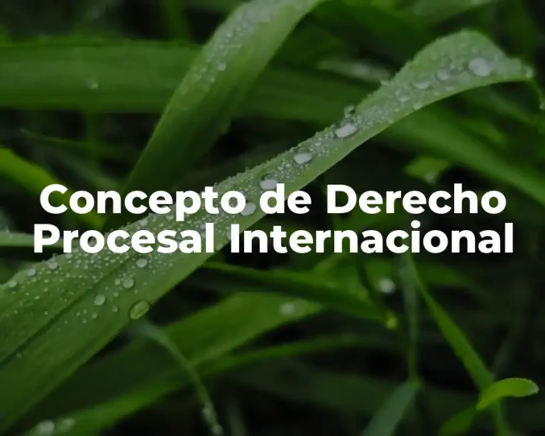 Concepto de Derecho Procesal Internacional