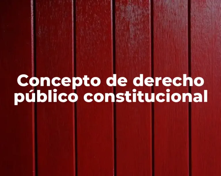 Concepto de derecho público constitucional