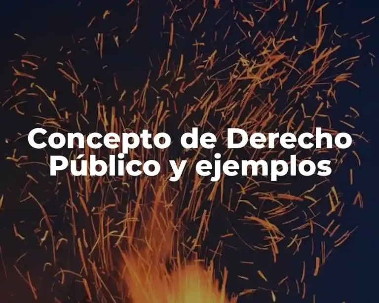 Concepto de Derecho Público y ejemplos