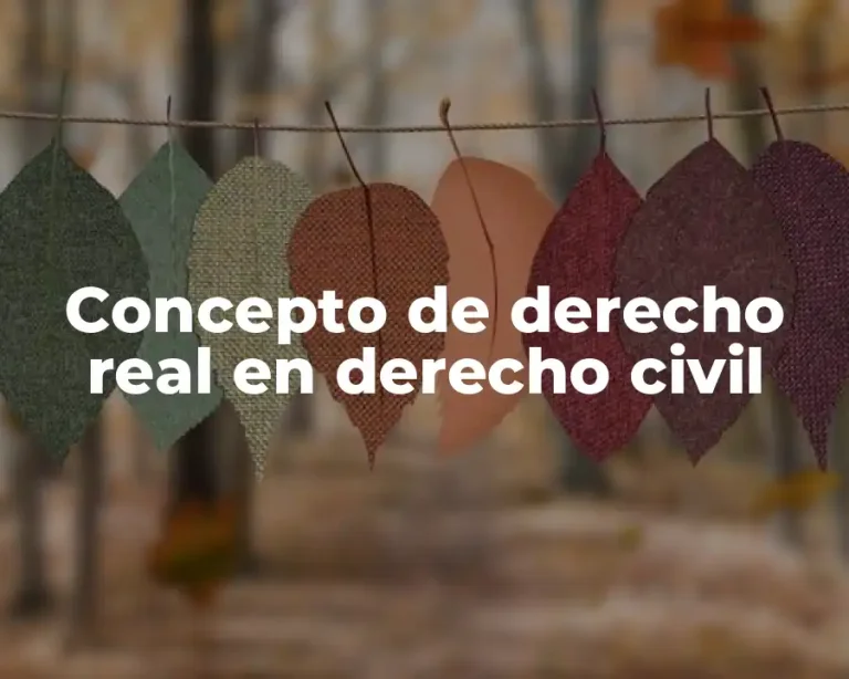 Concepto de derecho real en derecho civil