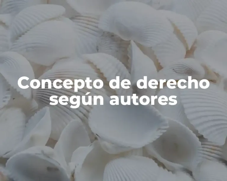Concepto de derecho según autores