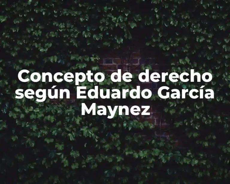 Concepto de derecho según Eduardo García Maynez