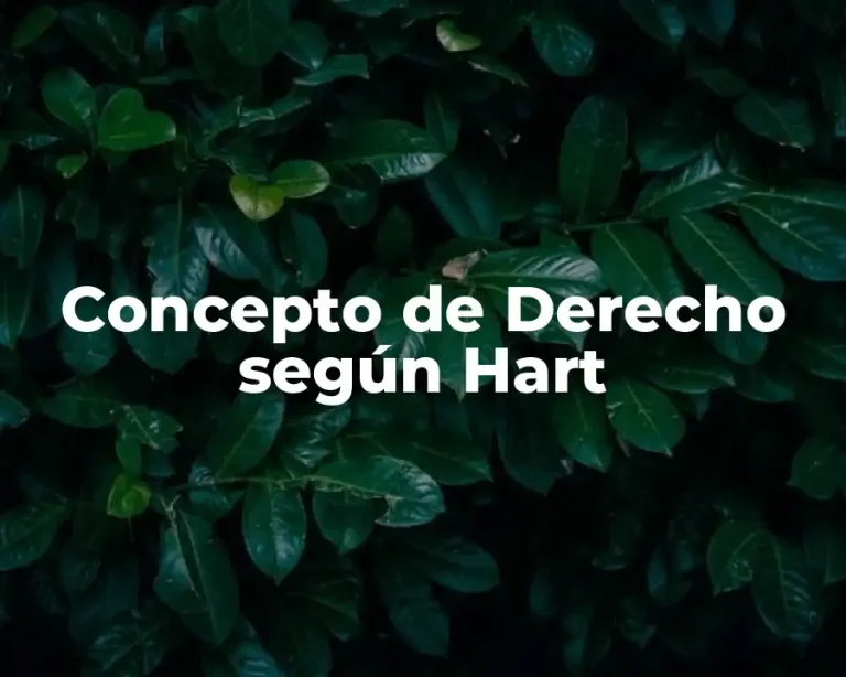 Concepto de Derecho según Hart