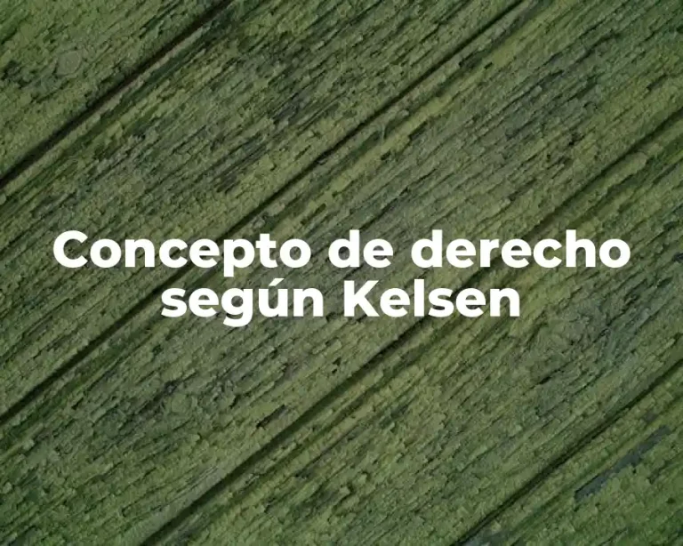 Concepto de derecho según Kelsen