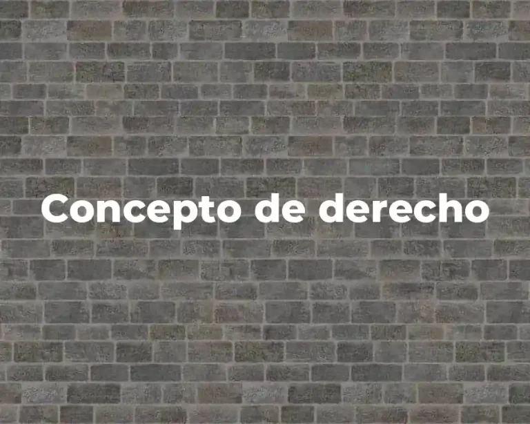 Concepto de derecho