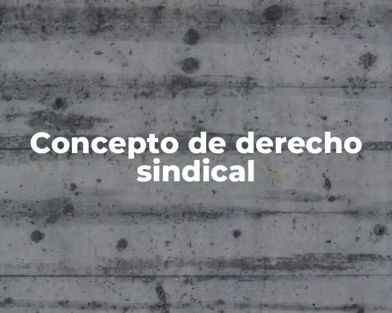 Concepto de derecho sindical