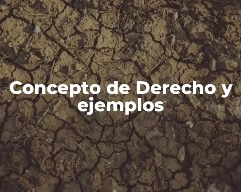 Concepto de Derecho y ejemplos