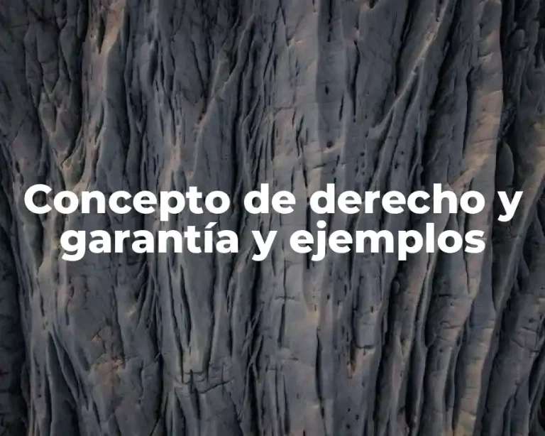 Concepto de derecho y garantía y ejemplos