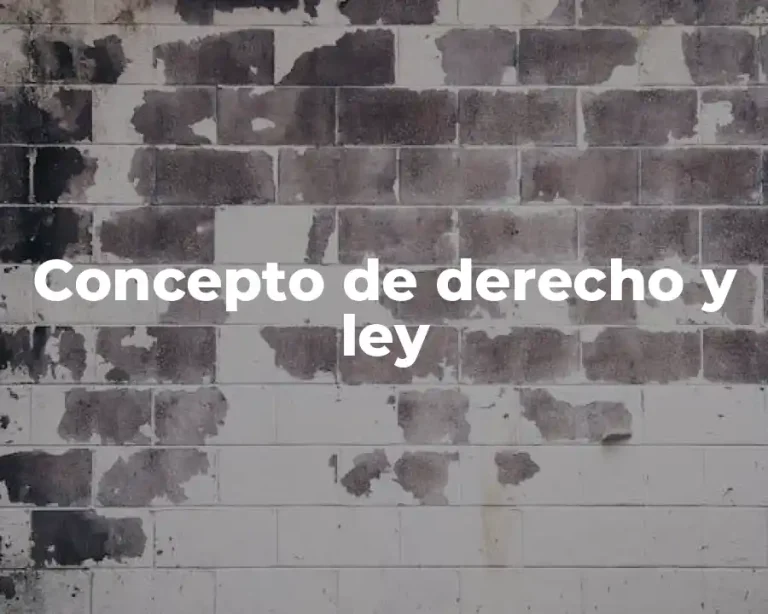 Concepto de derecho y ley