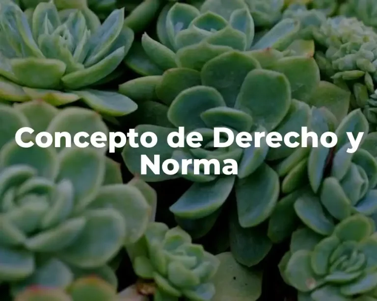 Concepto de Derecho y Norma