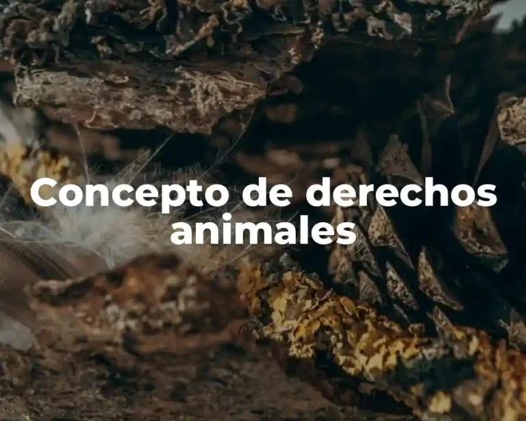 Concepto de derechos animales