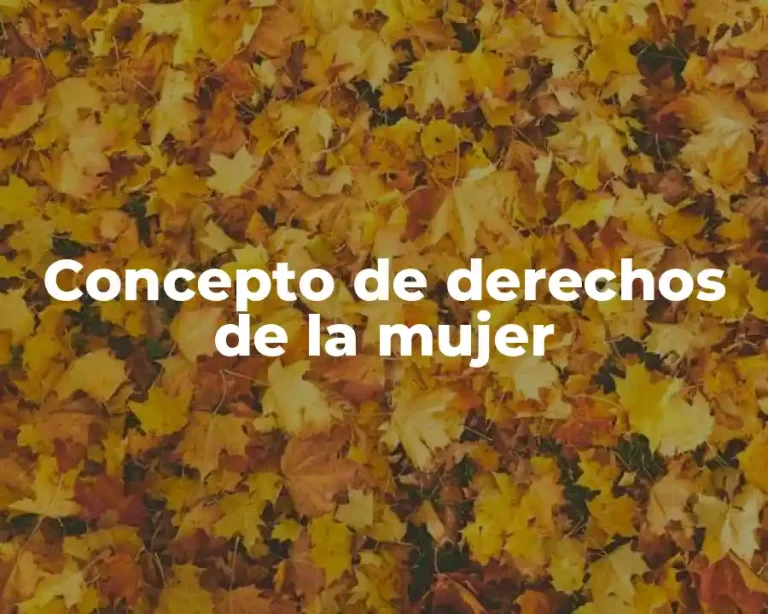 Concepto de derechos de la mujer