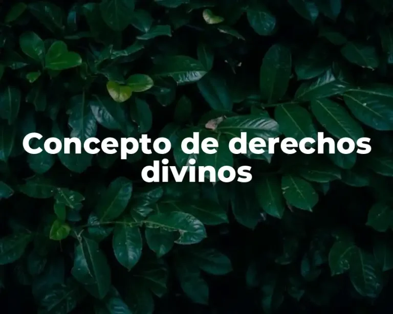 Concepto de derechos divinos