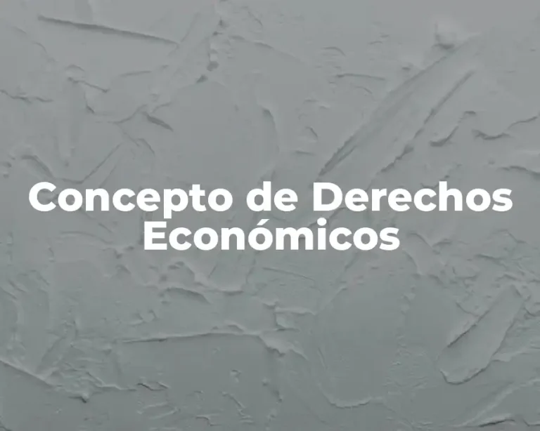 Concepto de Derechos Económicos