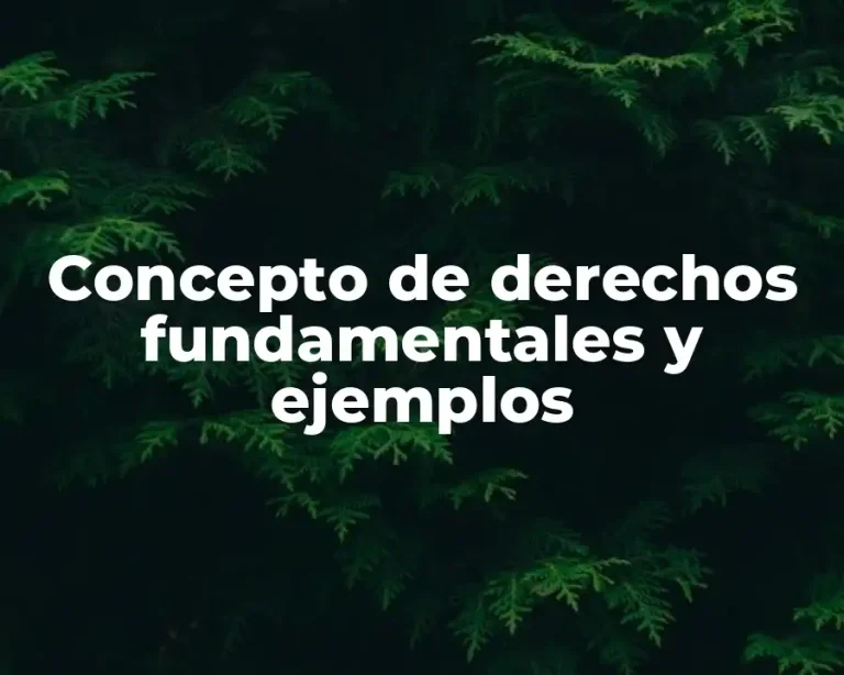 Concepto de derechos fundamentales y ejemplos