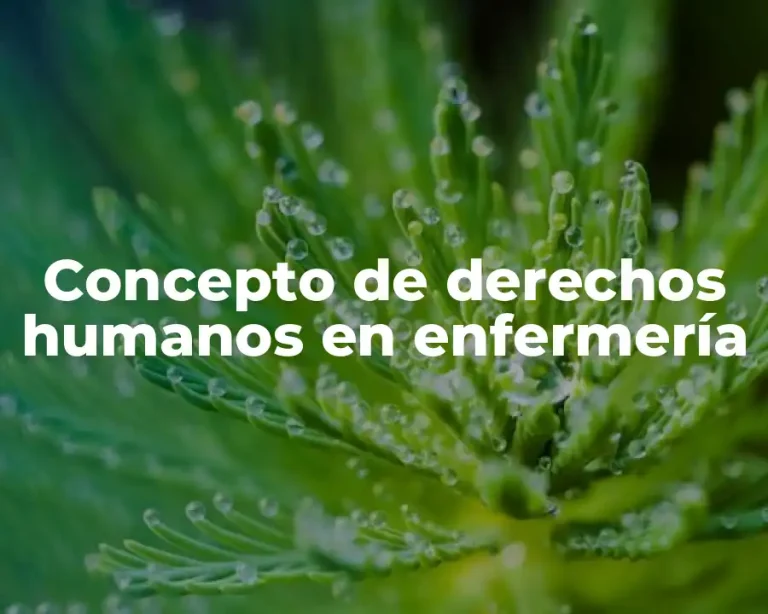 Concepto de derechos humanos en enfermería