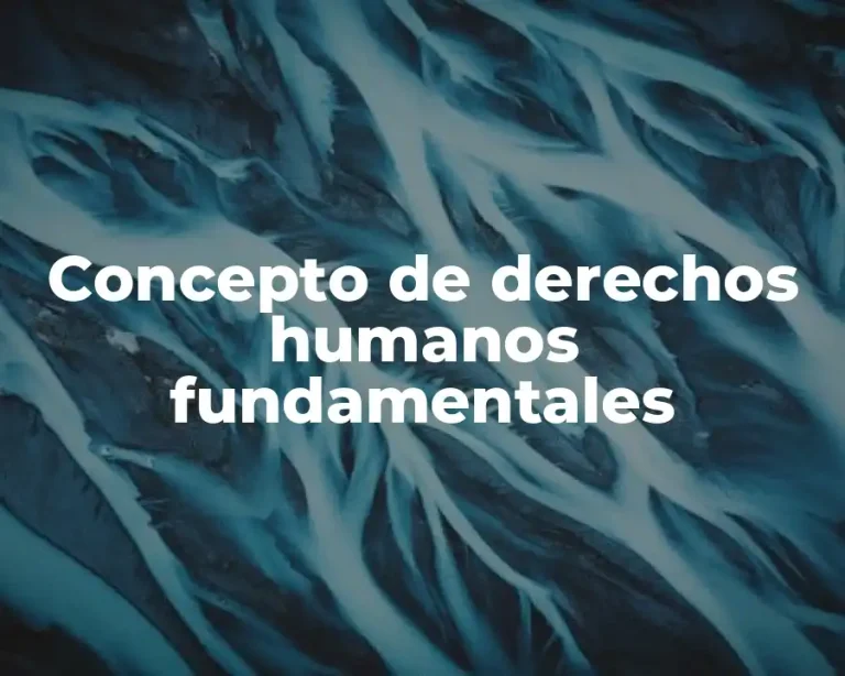 Concepto de derechos humanos fundamentales