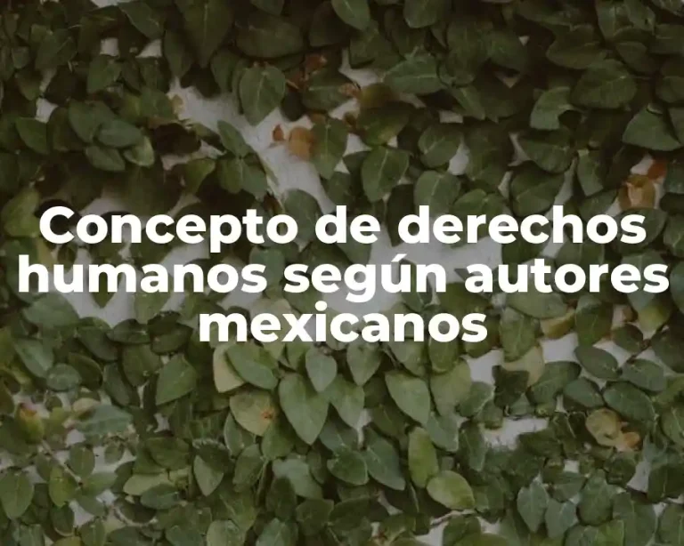 Concepto de derechos humanos según autores mexicanos