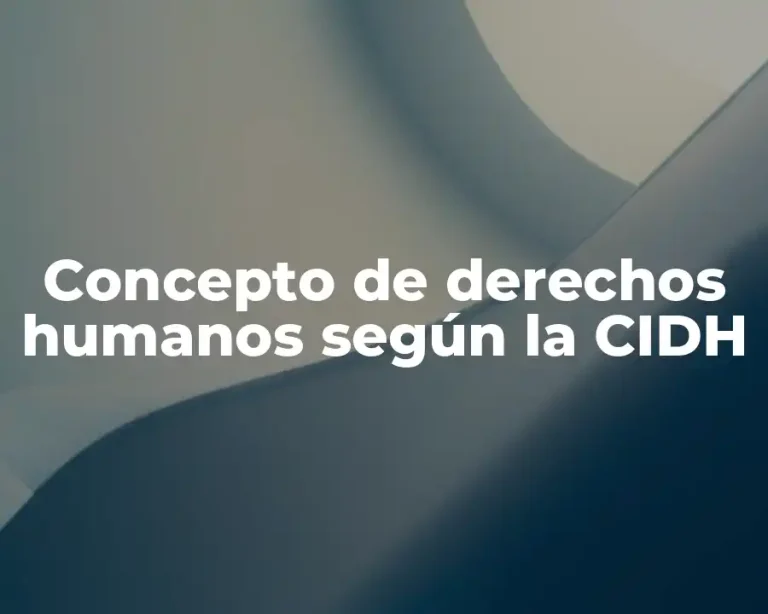 Concepto de derechos humanos según la CIDH