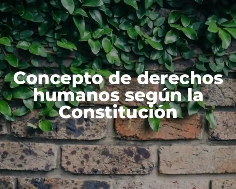 Concepto de derechos humanos según la Constitución