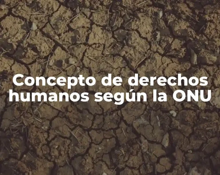 Concepto de derechos humanos según la ONU