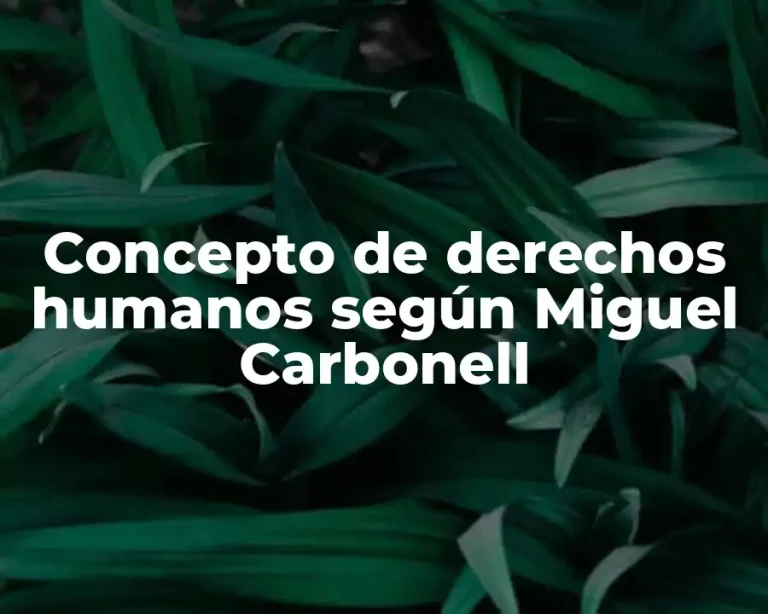 Concepto de derechos humanos según Miguel Carbonell