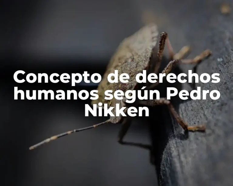 Concepto de derechos humanos según Pedro Nikken