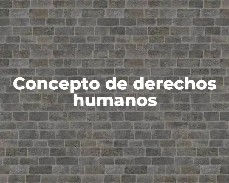Concepto de derechos humanos